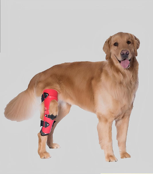 Custom Dog Knee Brace / CCL/ACL Stifle Rear Leg Dog Brace